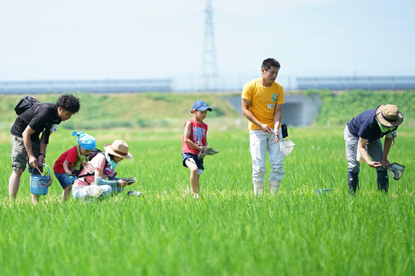 陽気な天気のもと水田を眺める大人から子供たちの画像