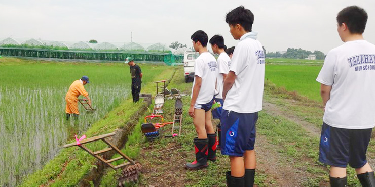 田んぼの除草作業を体験する高畠町立和田小学校の学生たちの画像