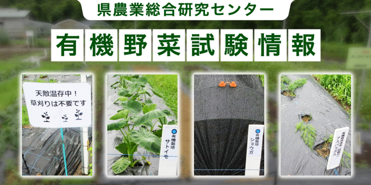 県農業総合研究センター有機野菜試験情報 ボリューム1～4